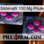 Sildénafil 100 Mg Pilule 01